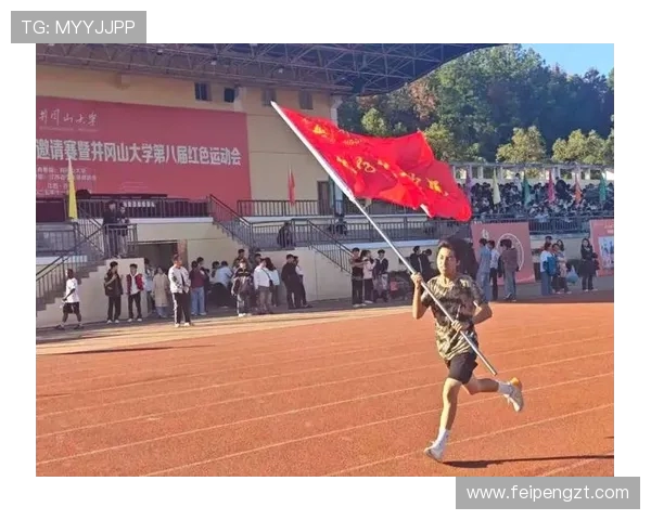 激情碰撞 全力以赴探索体育比赛背后的拼搏与荣耀