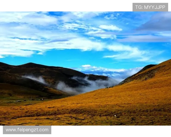 崔永熙的艺术之路与人生哲学探讨：从初心到成就的心灵旅程